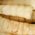 Arrow Root (Maranta Arundinacea)