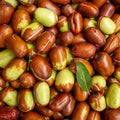 Jojoba Oil (Simmondsia Chinensis)